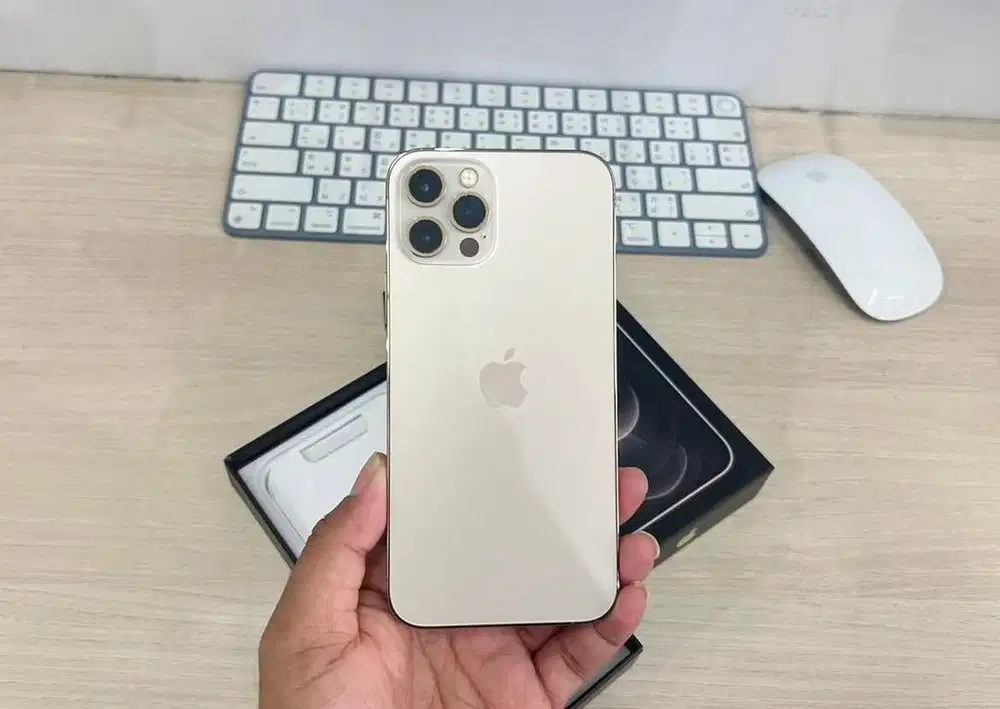 Jual ip 12 pro 256 gb Gold ex inter Nego alus