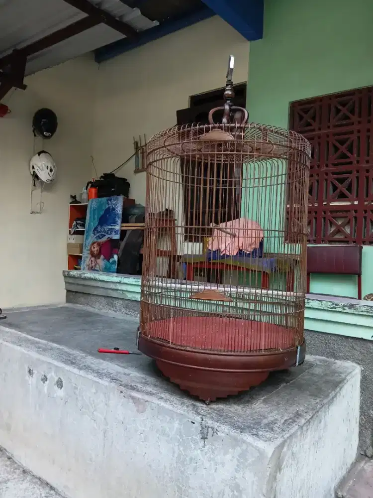 Sangkar murai tebok kayu no2