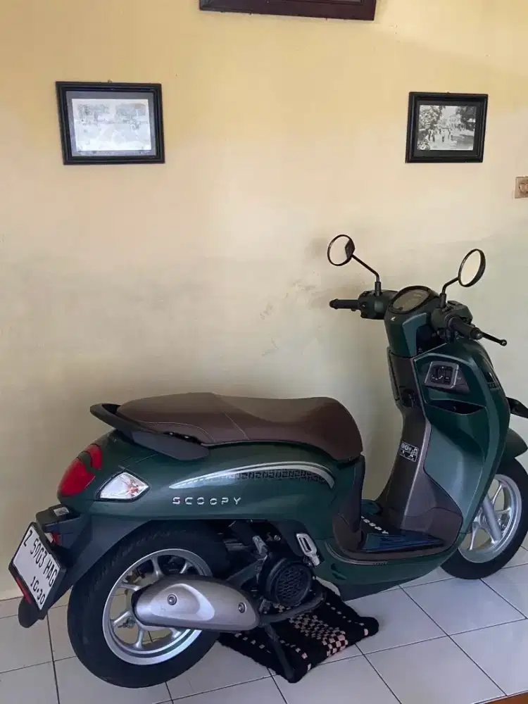 Scoopy new 2025