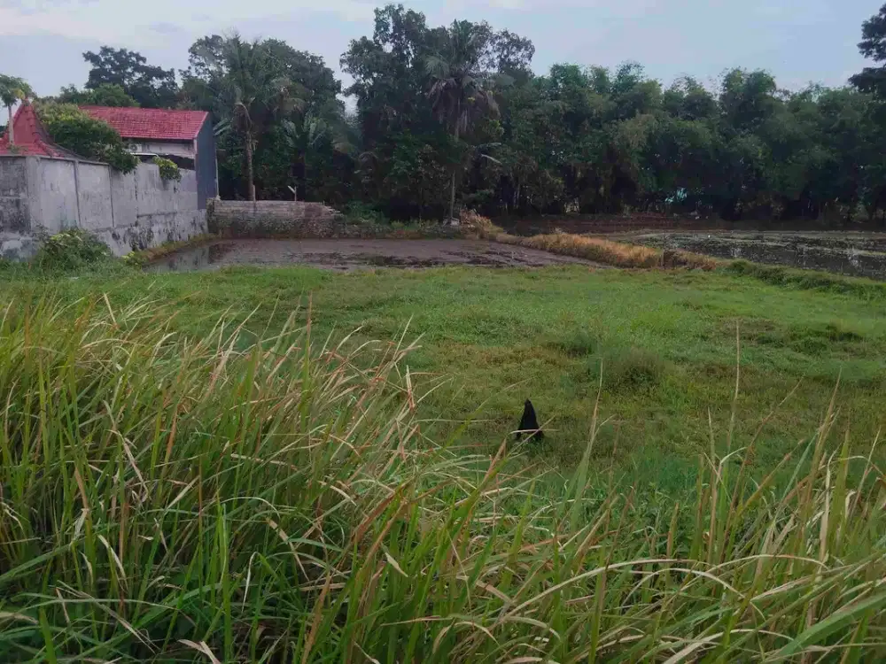 Dijual tanah pinggir jalan propinsi