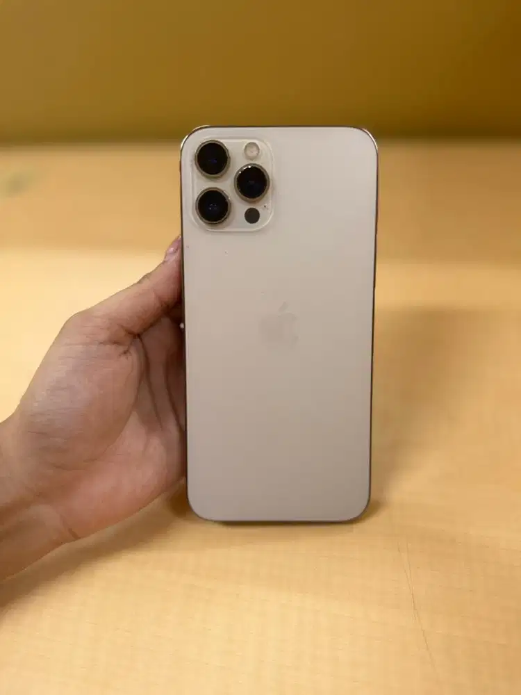 Iphone 12 promax