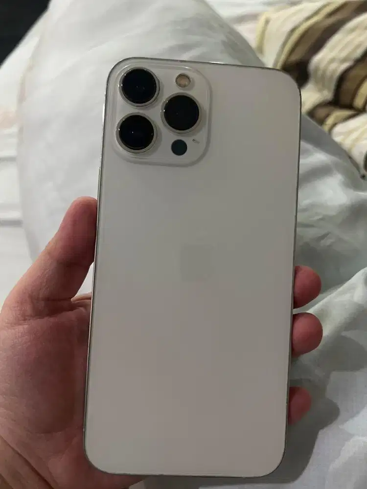 Iphone 13 pro max silver 128 gb bea cukai