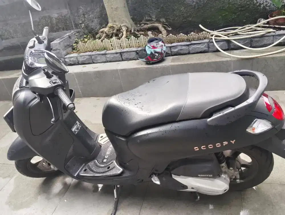scoopy,tdk pernah pergi jauh.