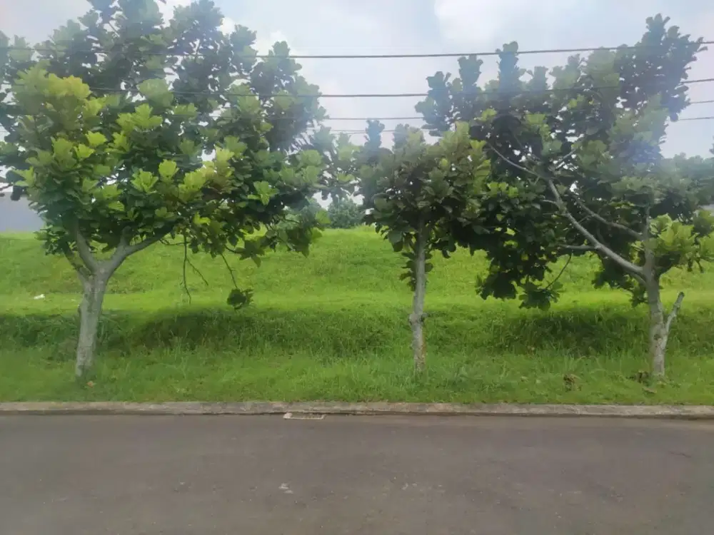 Kavling Luas Siap Bangun di Komplek Budi Indah Seriabudi Bandung