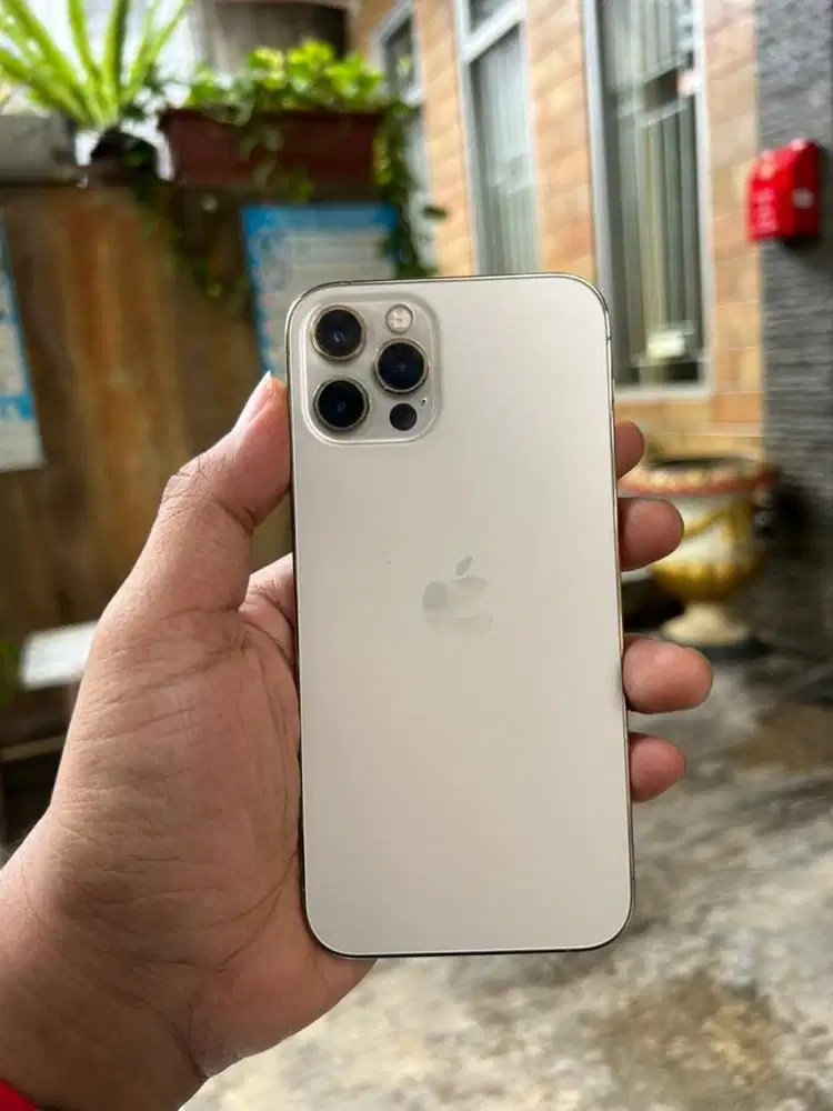 iphone 12 pro 256gb