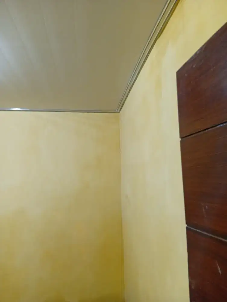 DIJUAL PERUMAHAN GOLDEN BERRY REGENCY PLAFON 4.5 M PAGAR TINGGI RENOV