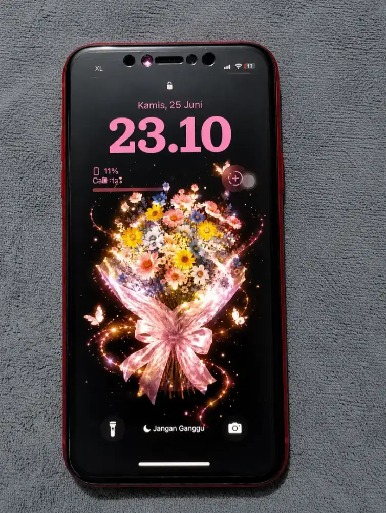 iPhone XR 64GB inter