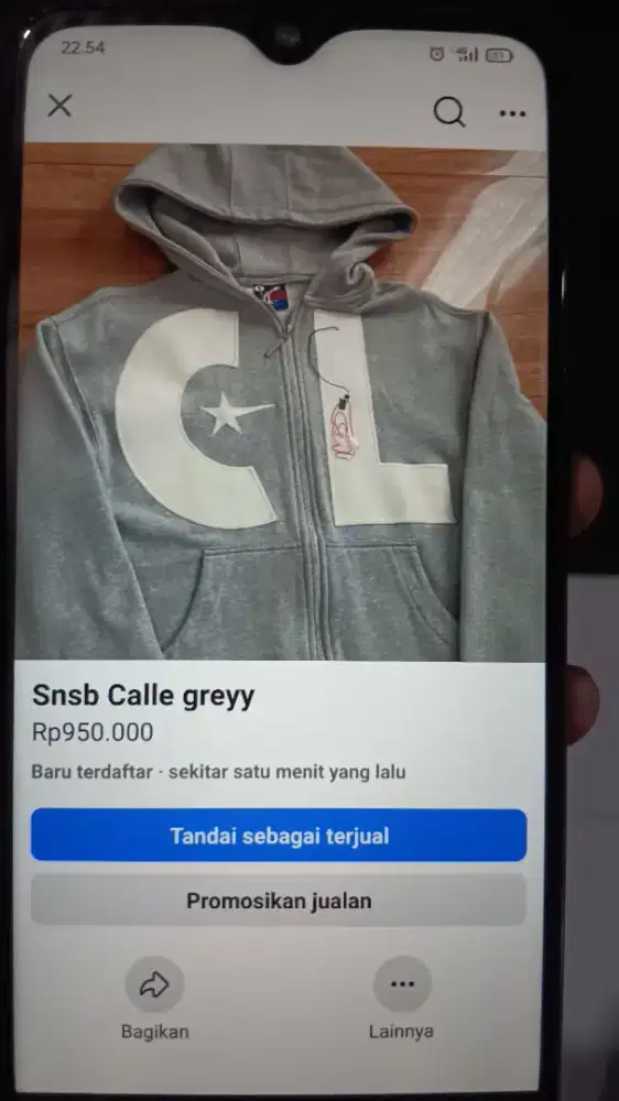 snsb calle greyy