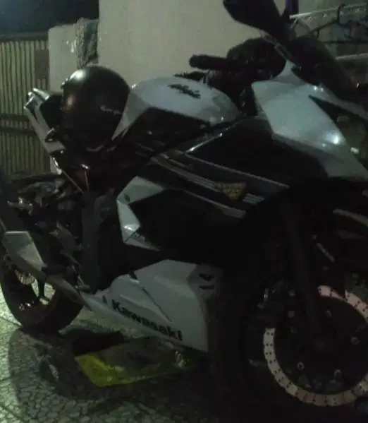 Ninja 250 fi mono