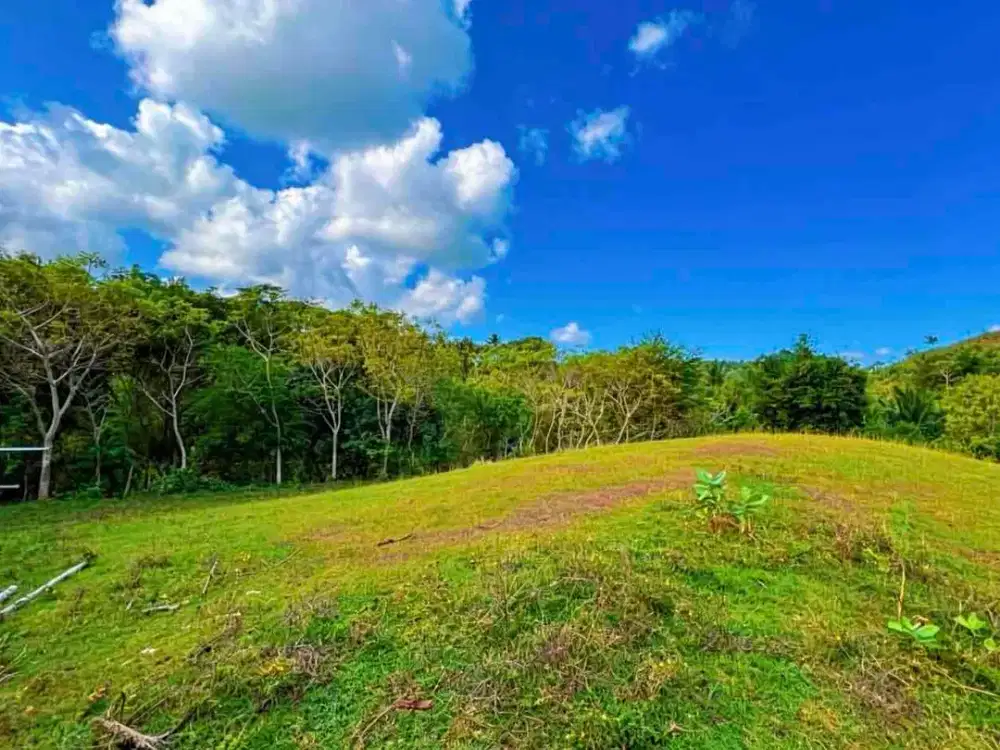 tanah murah di Kuta Mandalika Lombok