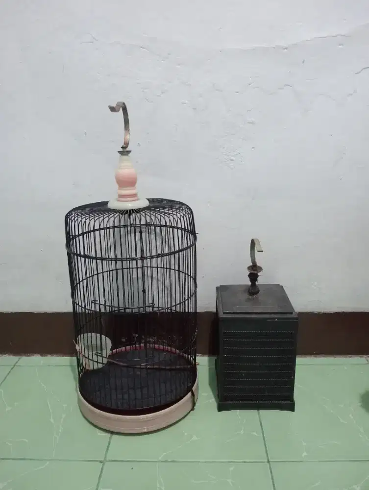 Kandang+ tempat jangkrik bawa semua