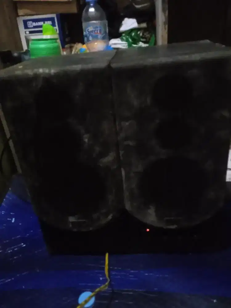 Speaker activee