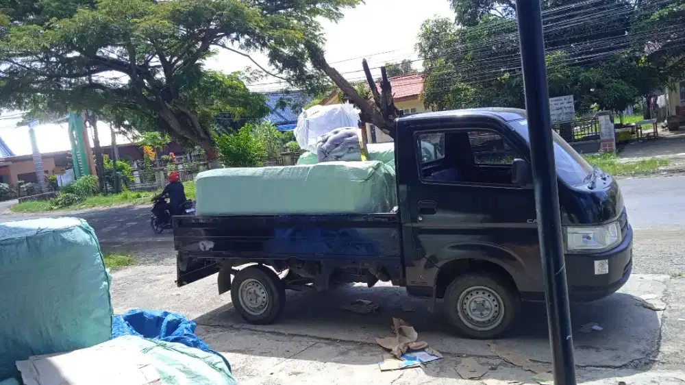 Mobil pick up carry