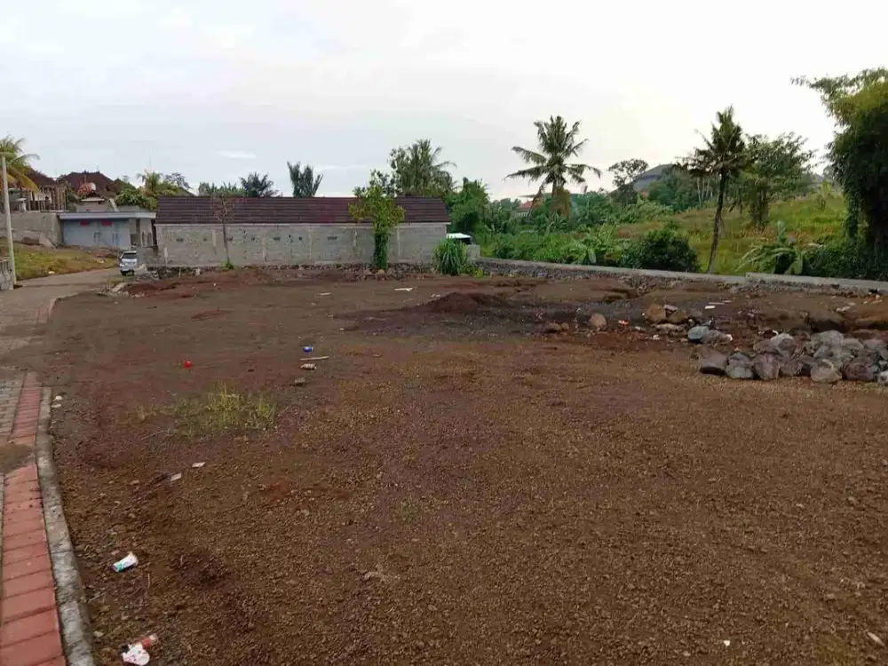 dijual tanah 5,92 are IDR 350 juta per are di Mengwi Badung Bali