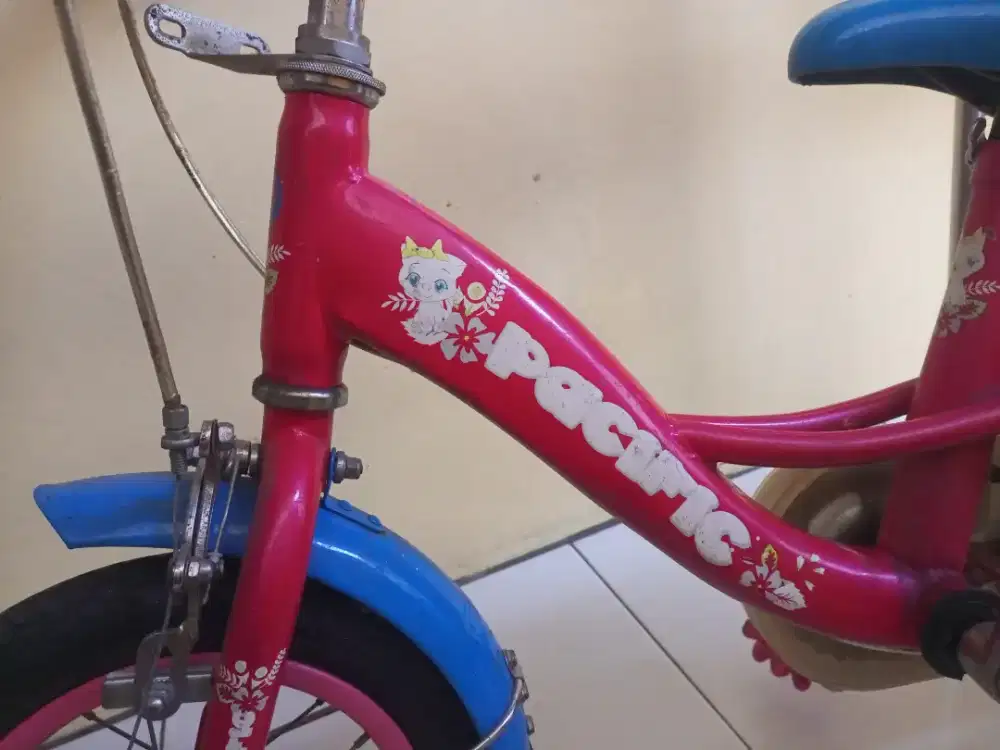 Sepeda anak cewek