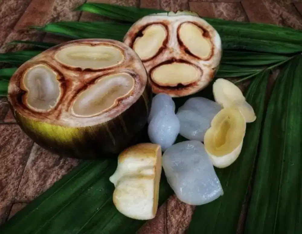 Kupas buah lontar (diutamakan wanita)