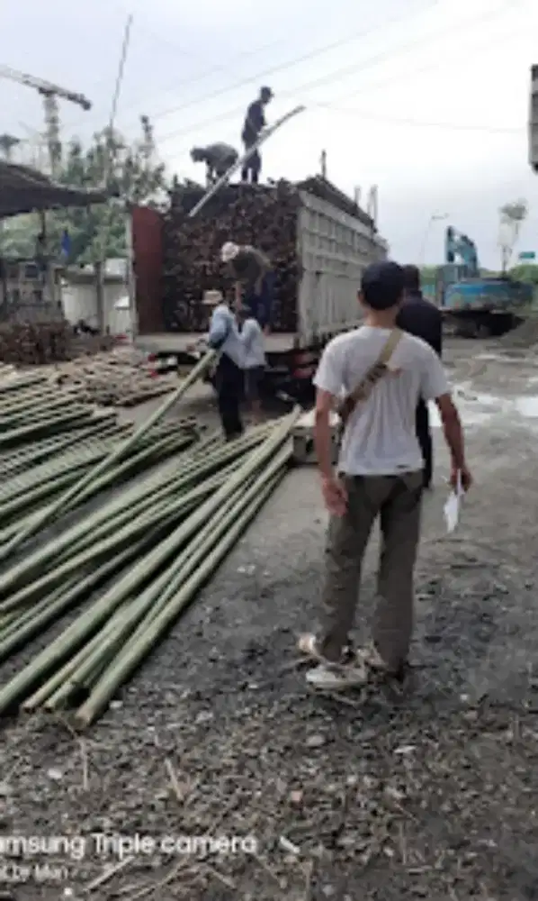 JUAL BAMBU TRIPLEK COR PAPAN COR
