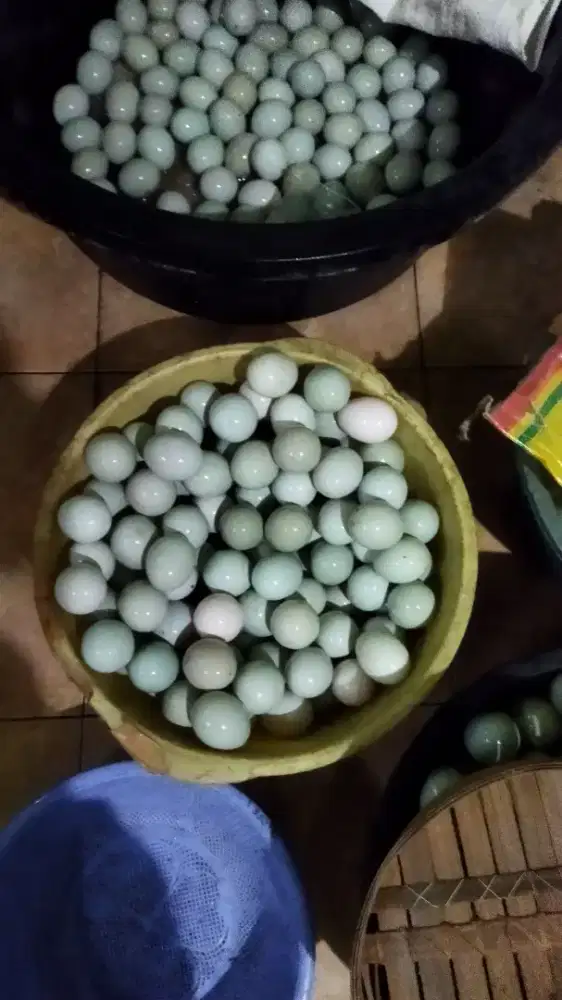 Telur bebek mentah fresh dari kandang sendiri