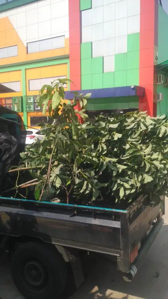 Penanaman dan perawatan kebun