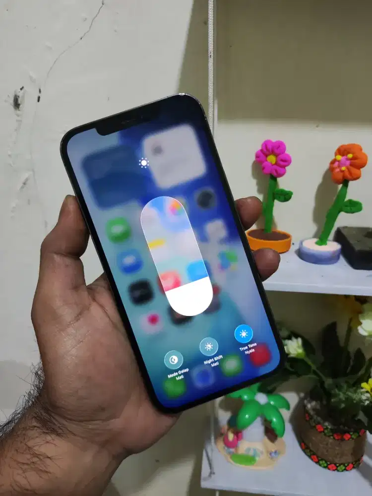 IPHONE 12 PRO MAX 256GB IBOX JUAL CEPAT