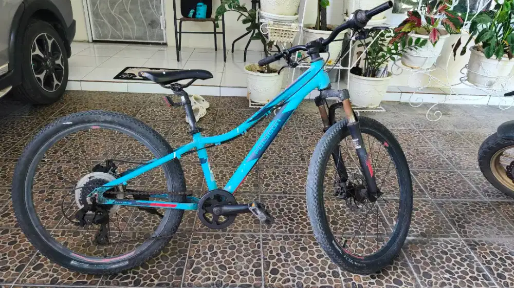 MTB Sepeda Gunung Polygon Relic 24