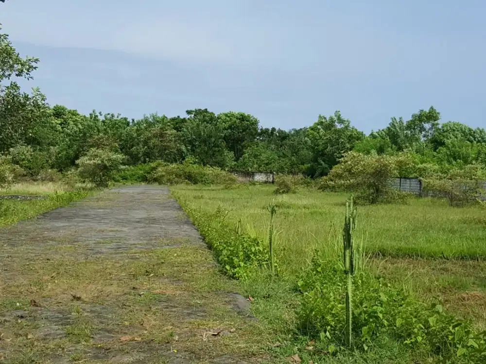 Tanah Kavling Hanya 800 Meter Ke Pantai Balangan Dijual