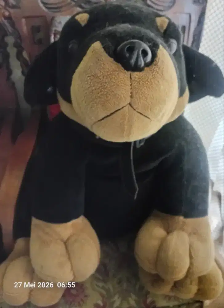 Boneka Besar Dogy lucu