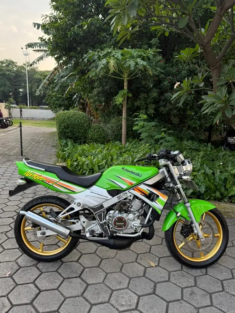 Ninja kis 2004 hijau