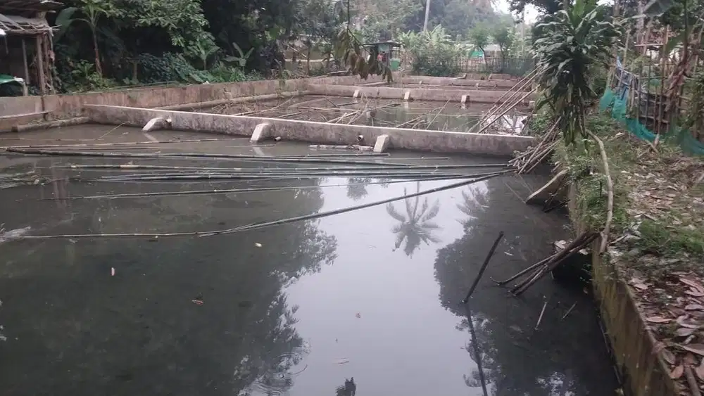 Dijual Tanah Kolam