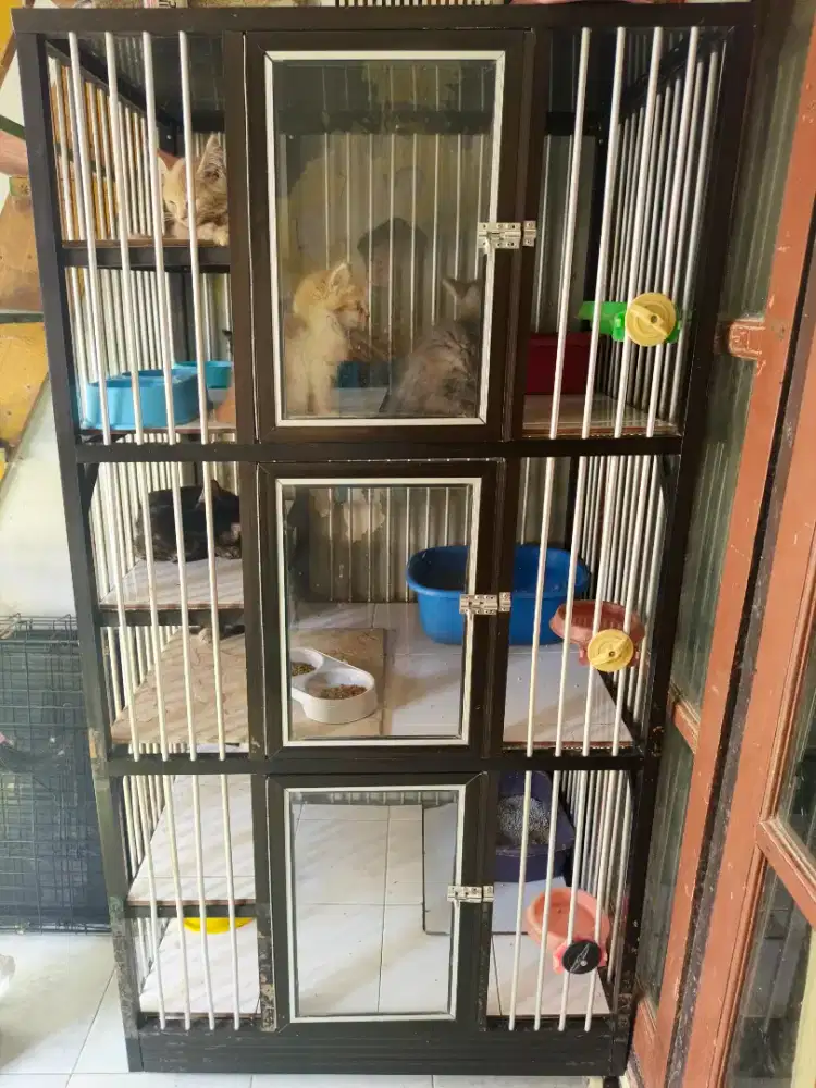 Kandang stenlis kucing tingkat 3