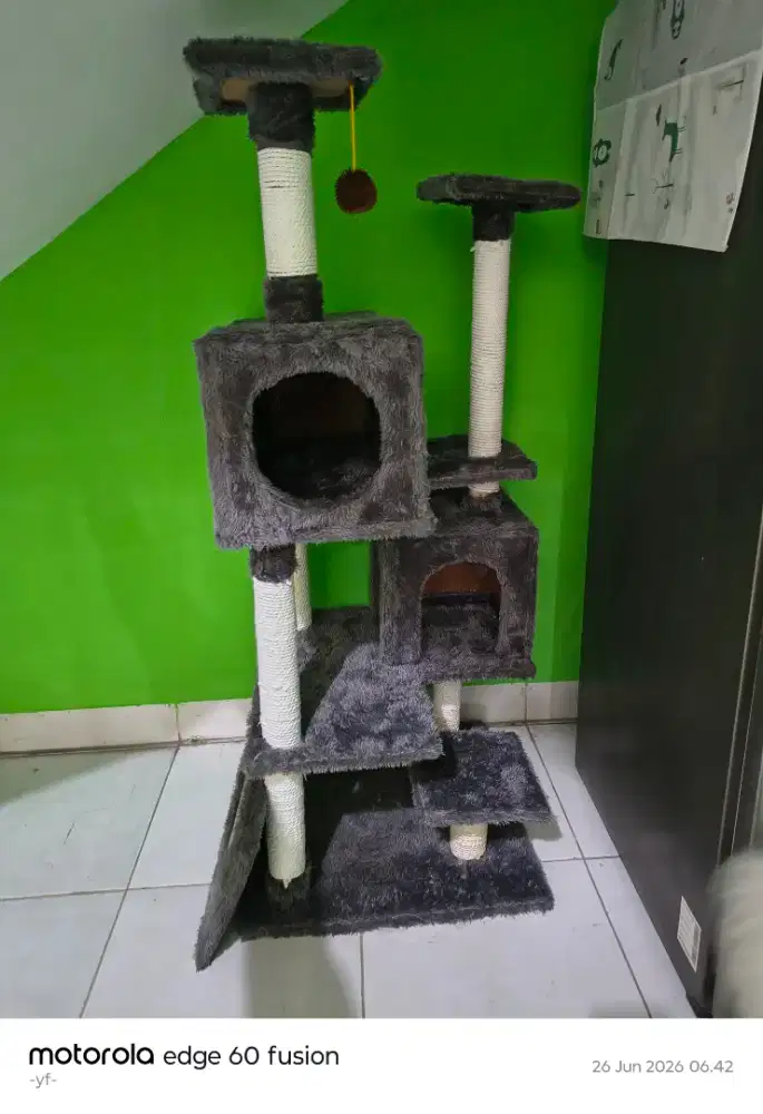 Cat house abu- abu