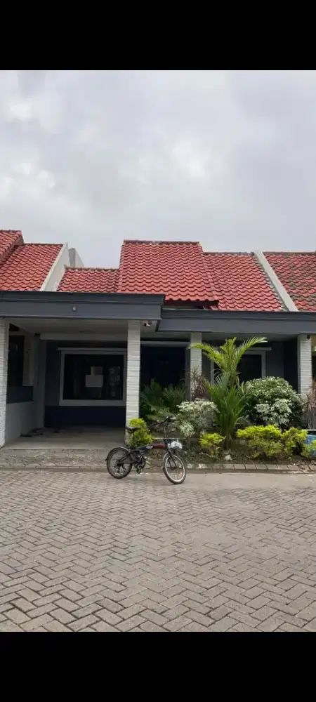 sewa rumah murah