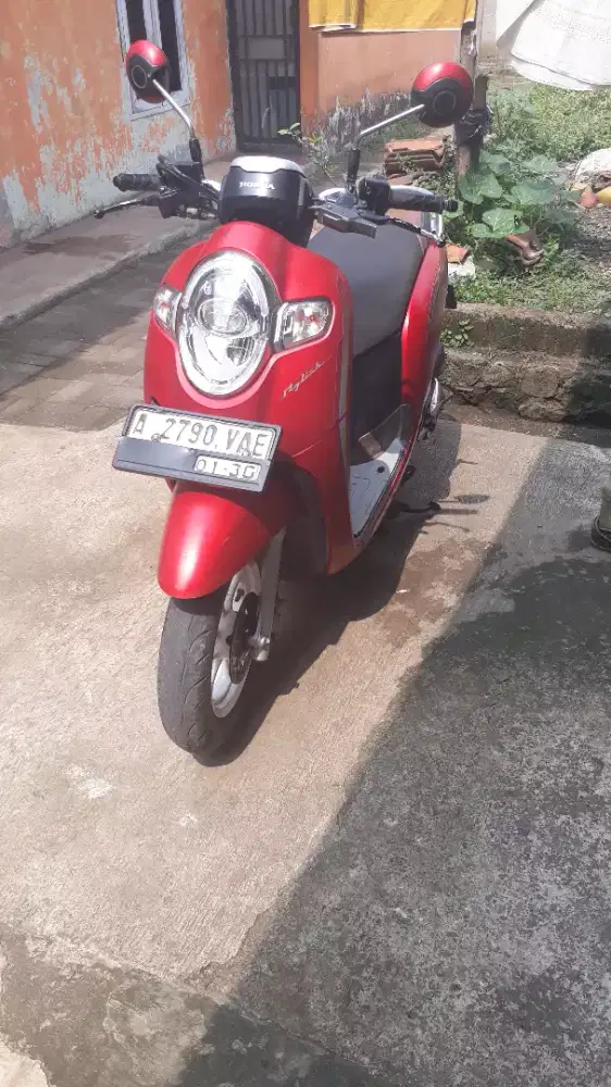 Scccopy Donat 2020