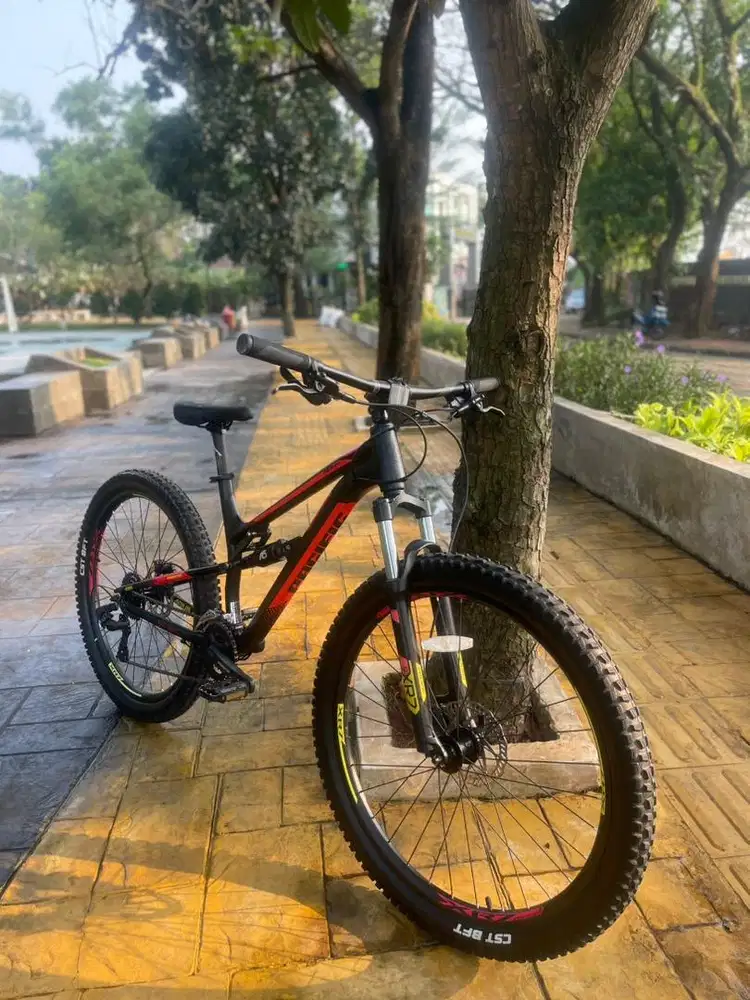 Pacific Aquila 2.0 Frame M 2021