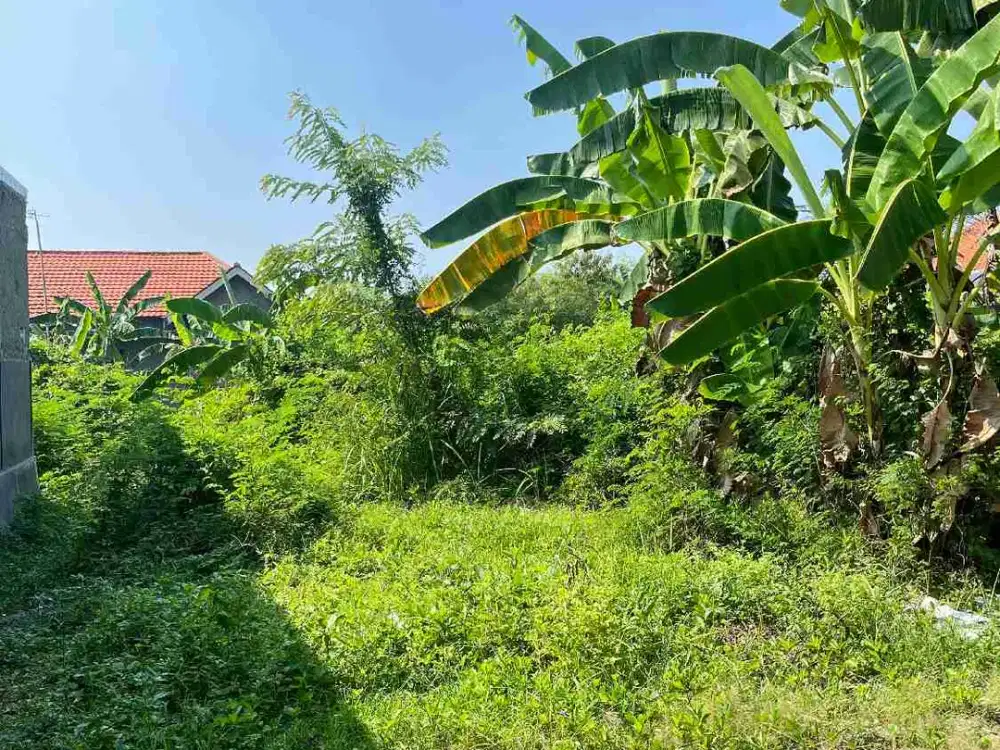 TEGAL KALINYAMAT KULON TANAH STRATEGIS DEKAT JALAN JUAL MURAH