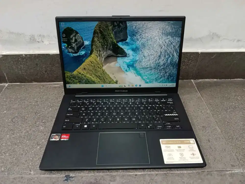 Asus Vivobook Go E1404FA