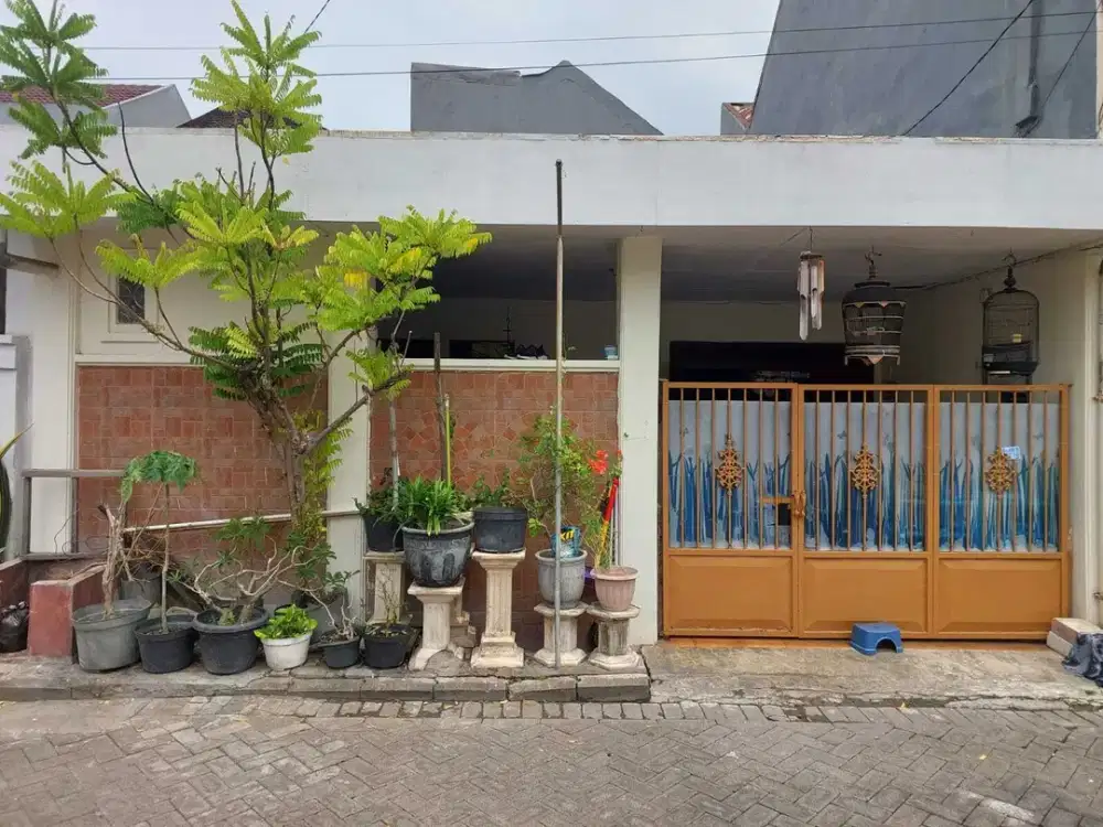 Rumah murah Siap Huni Perum Taman Pondok Indah Wiyung Indah Surabaya