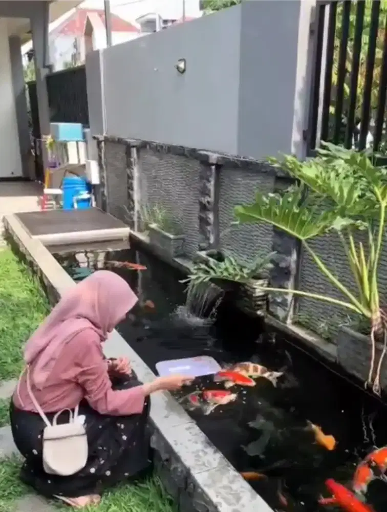 Ikan Koi berhadiah Rumah Pondok Mutiara Sidoarjo Lt 188 m2 Hook