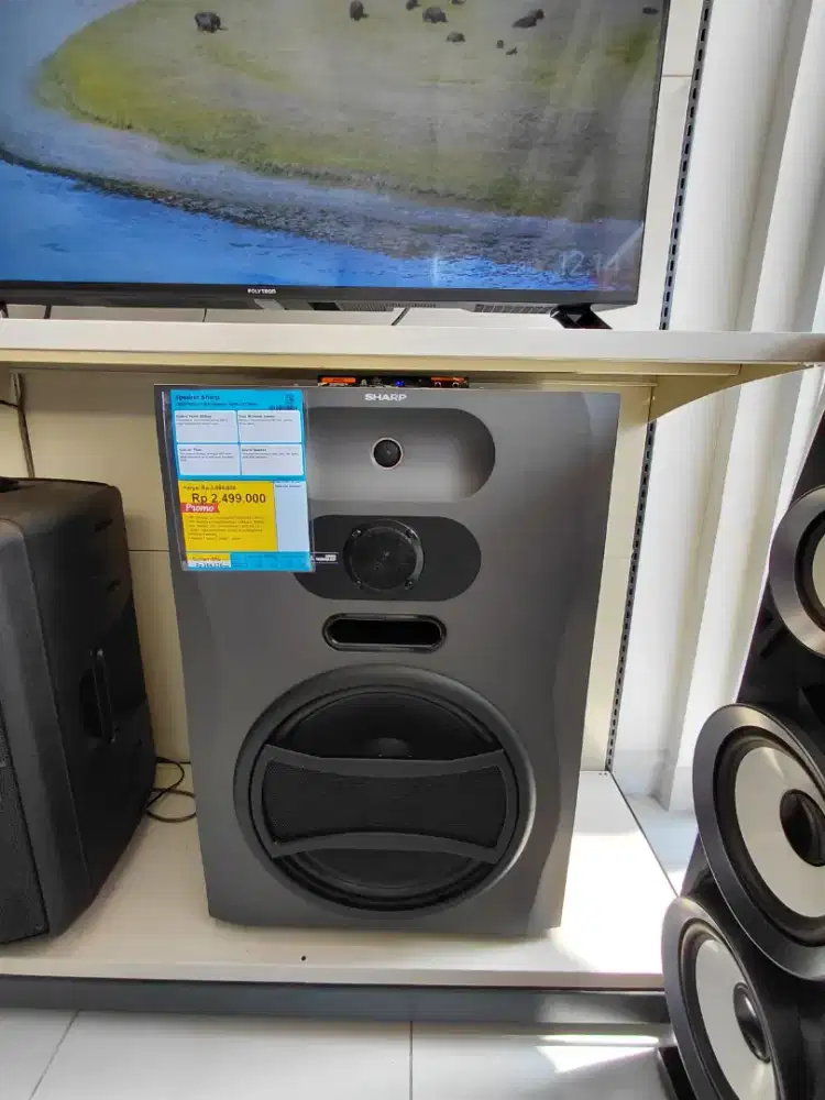 Speaker SHARP 125 Watt