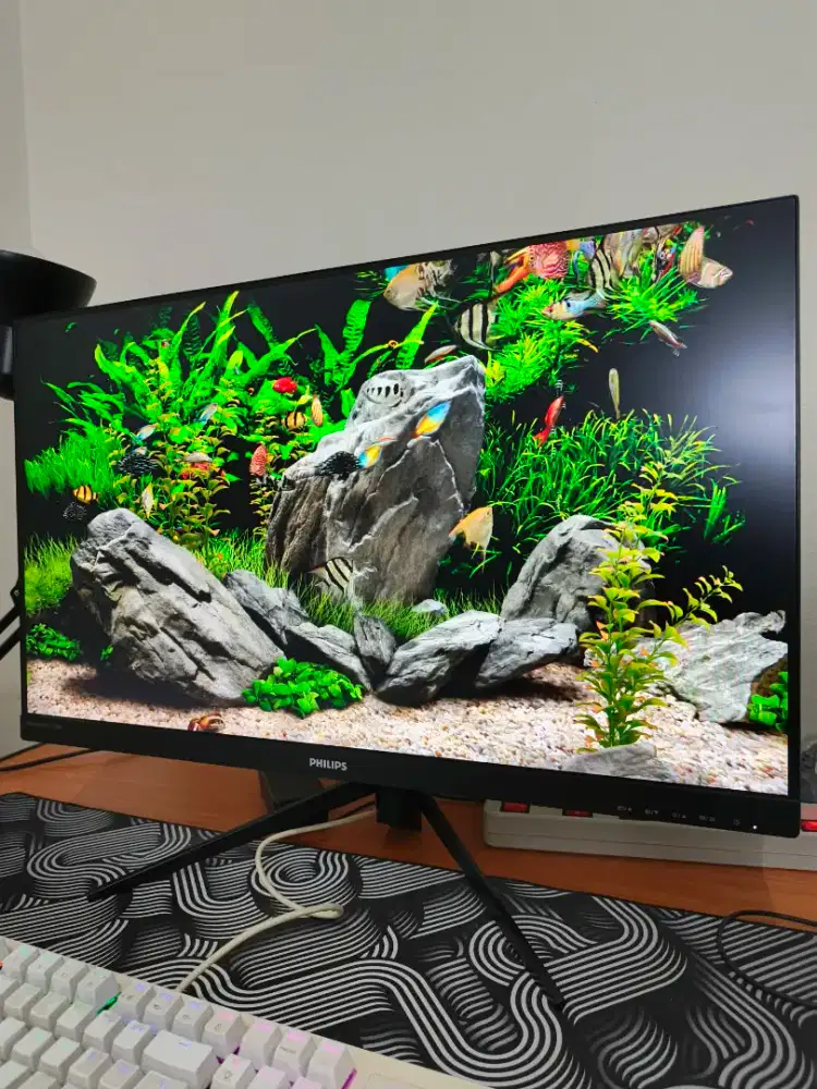 Monitor Philips 272M8 27 inch 1MS 144hz