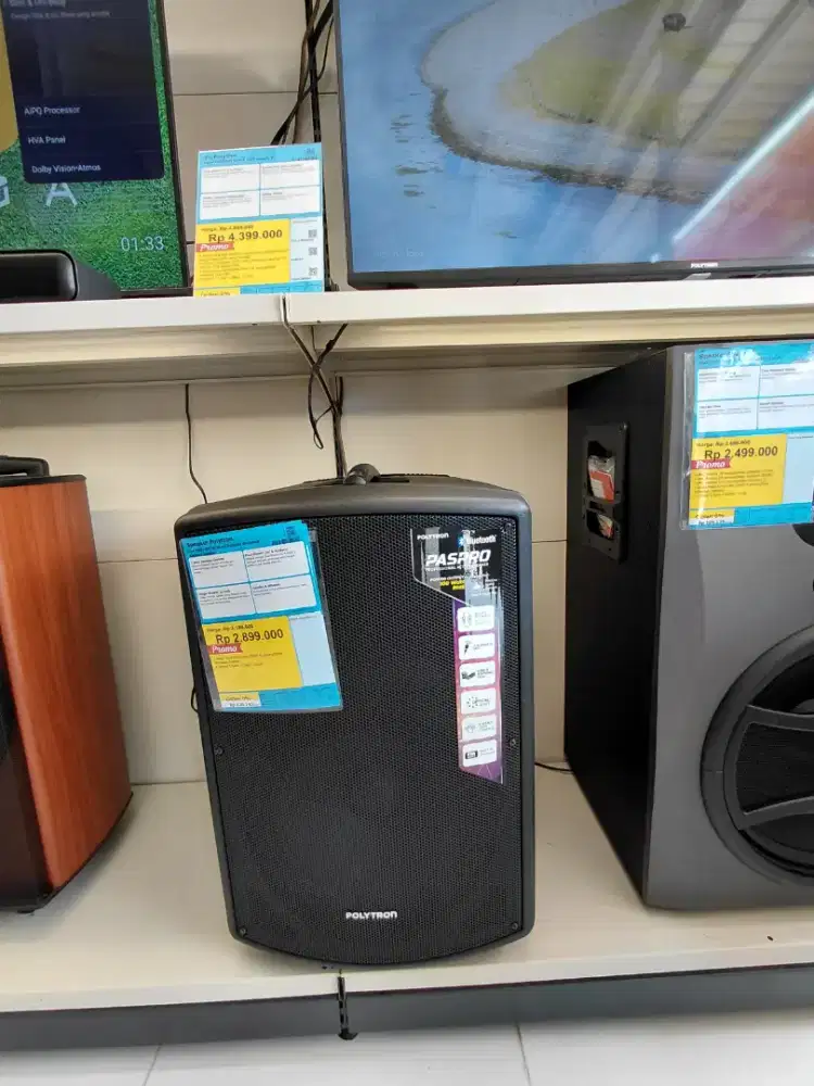 Speaker Polytron 40 Watt