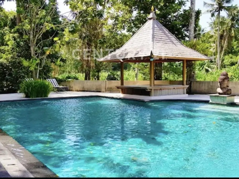 Dijual Villa Luxury Luas Tanah 2500 Meter Di Canggu Bali