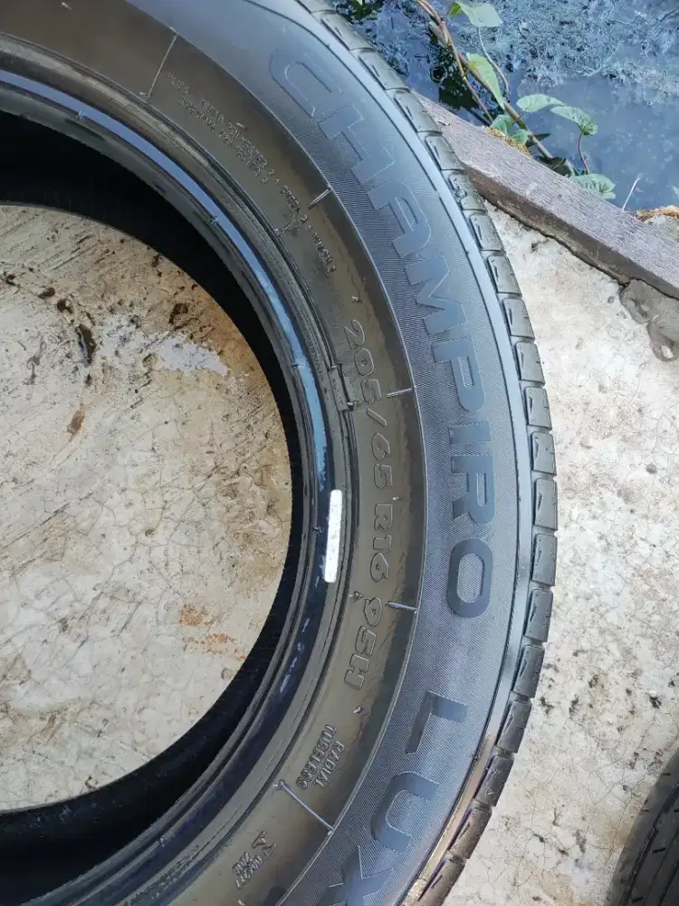 Bann ukuran r 16 205 / 65