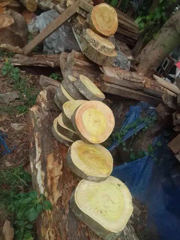 Telenan dr bahan kayu dn jasa tbg pohon