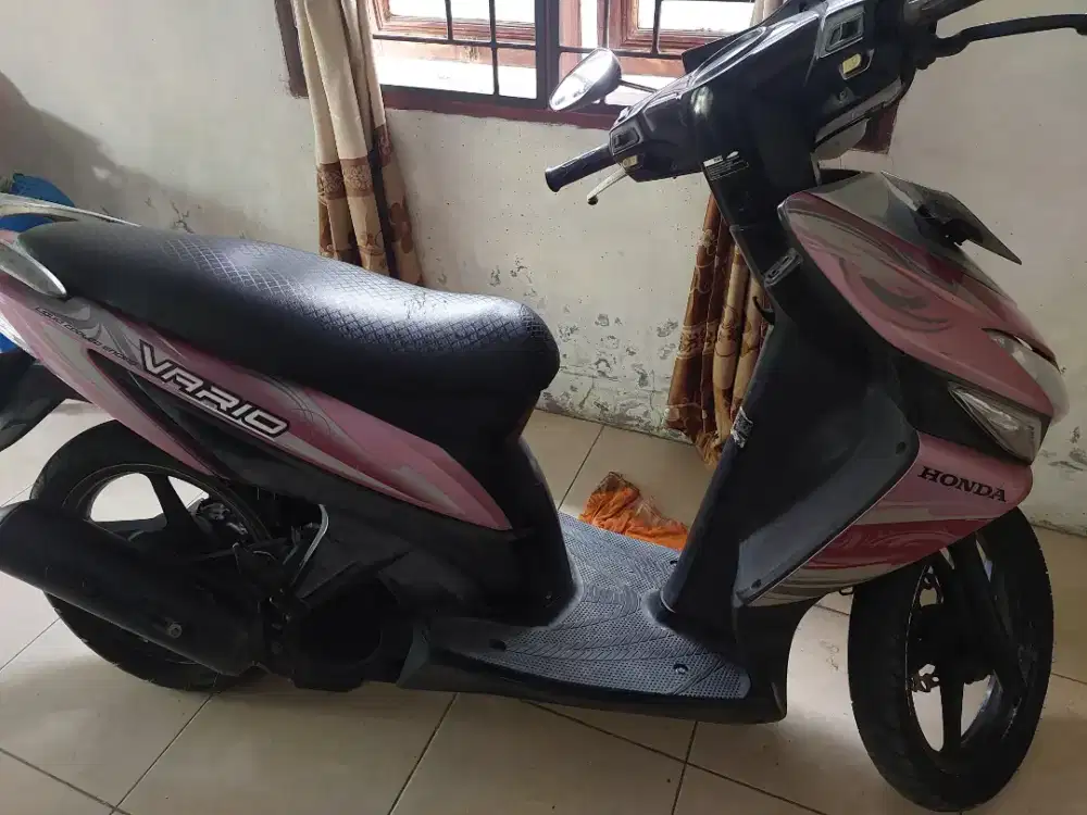Vario CW 2011 pink