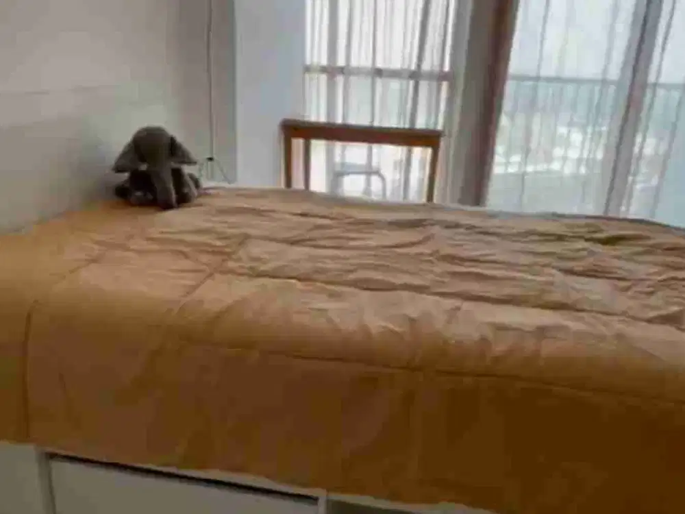 Apartment Pacific Garden, Studio, lantai 25 TB, Furnish, Pinang,Tangerang..