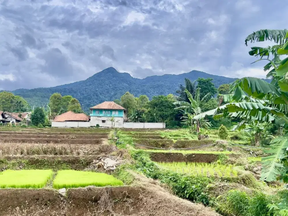Dijual Tanah Darat dan Sawah Air Mengalir di Serangpanjang Subang