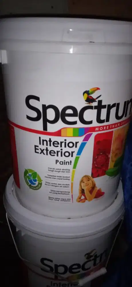 Cat tembok spectrum interior/exrerior