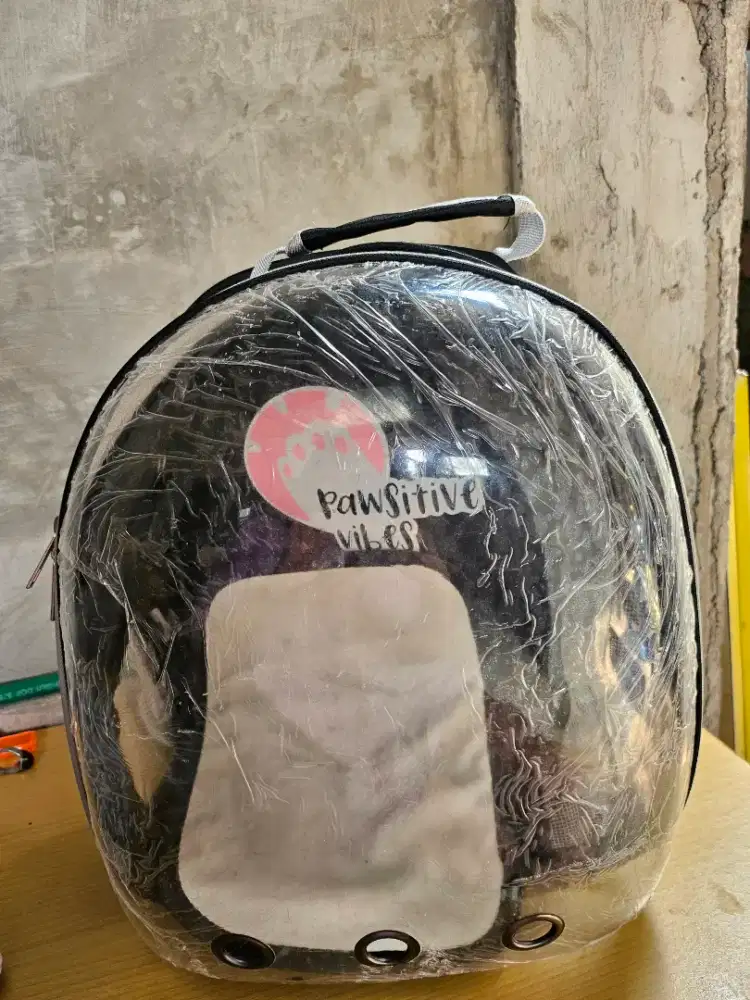 Tas ransel kucing