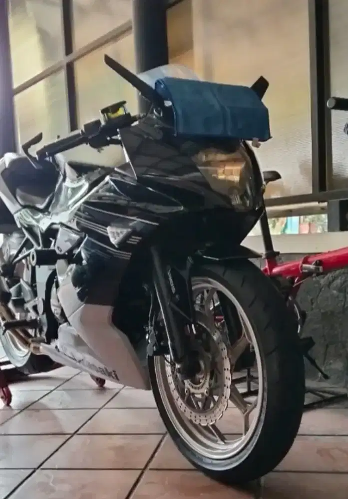 Kawasaki 250 2014